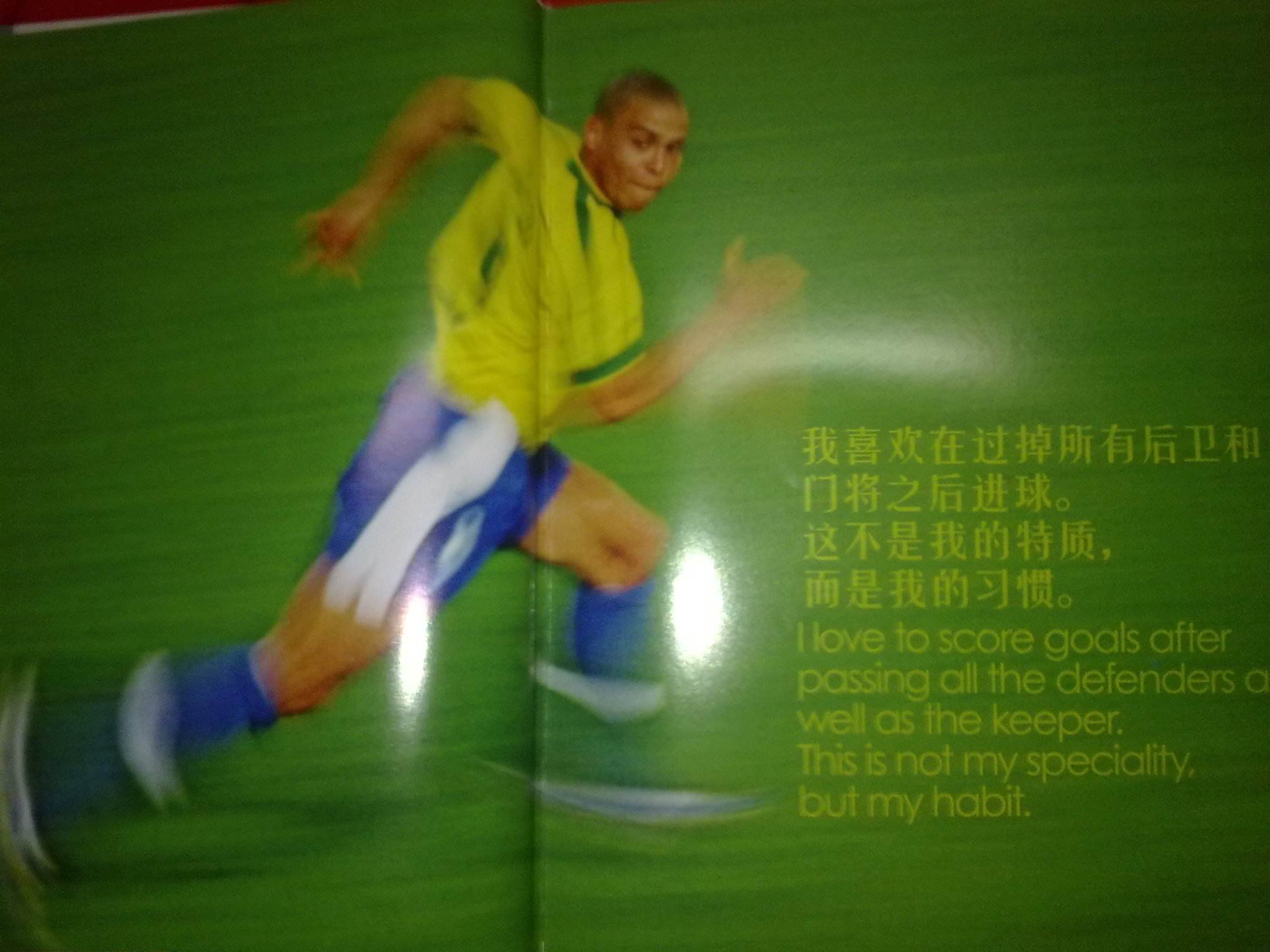 养模式