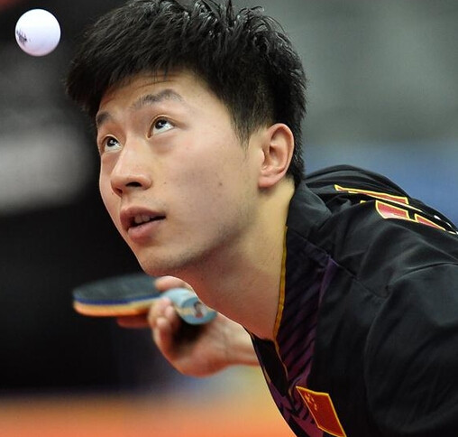 国羽战报陈 国羽战报陈