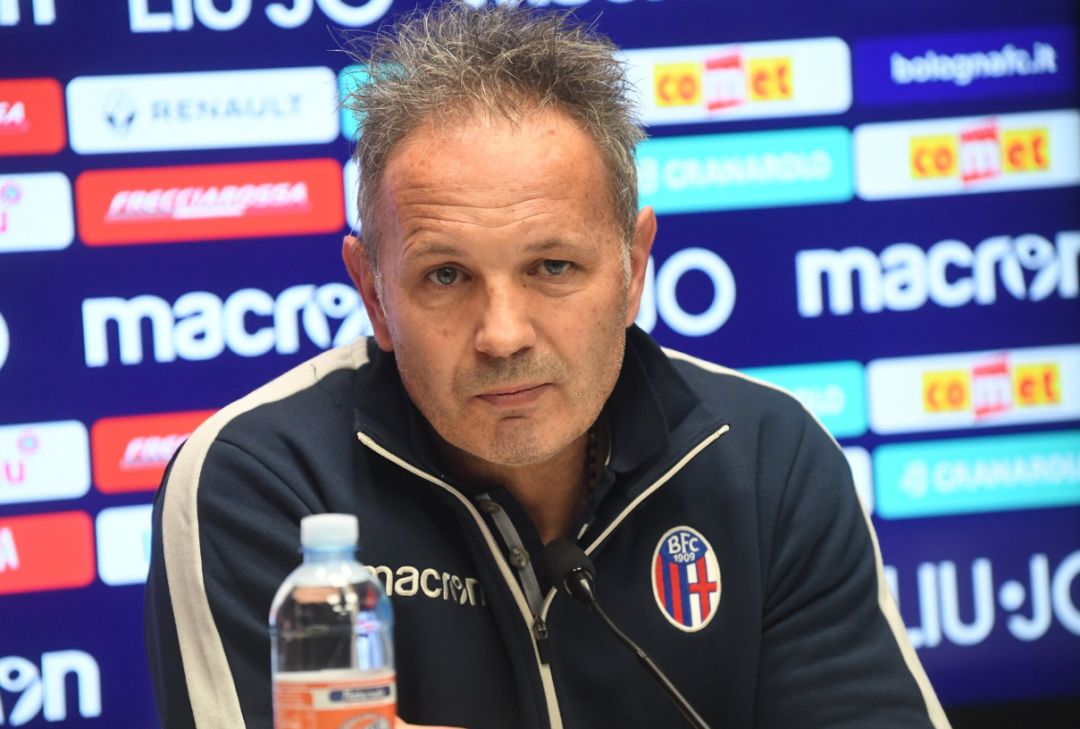 球队整体的 球队整体的