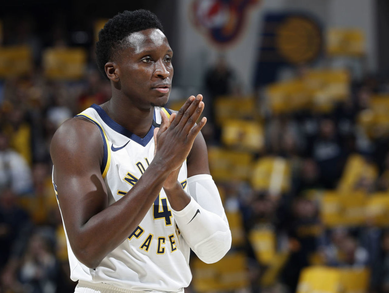 陈国豪个人 陈国豪个人